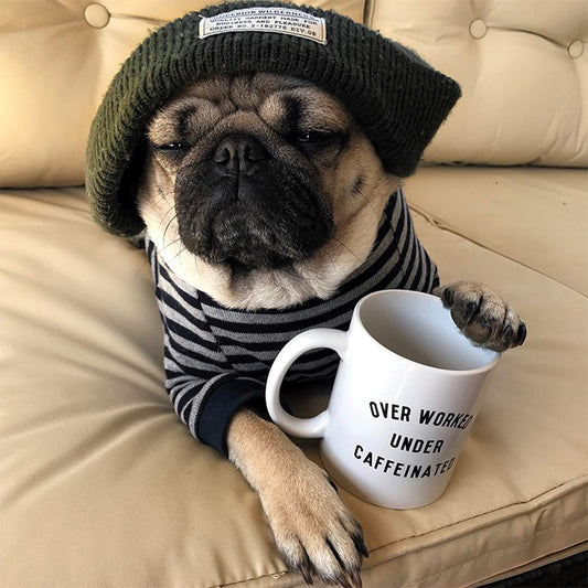 Doug the Pug: King of Pop Culture and Lover of Food (Mostly Pizza and Donuts)