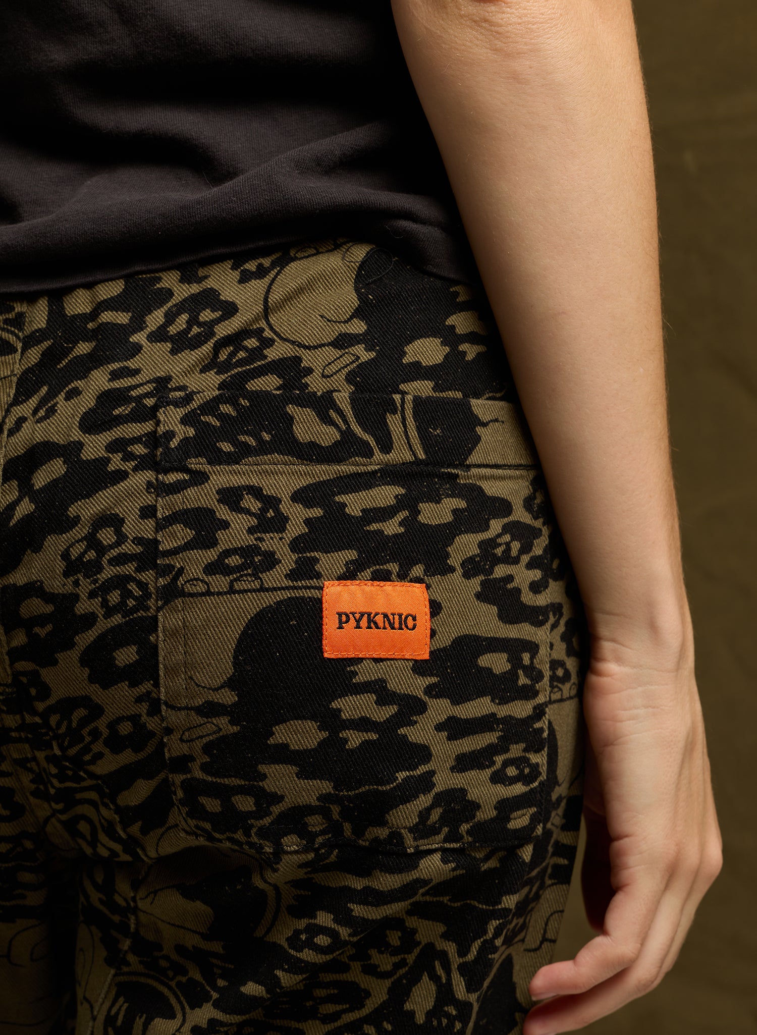 Pyknic