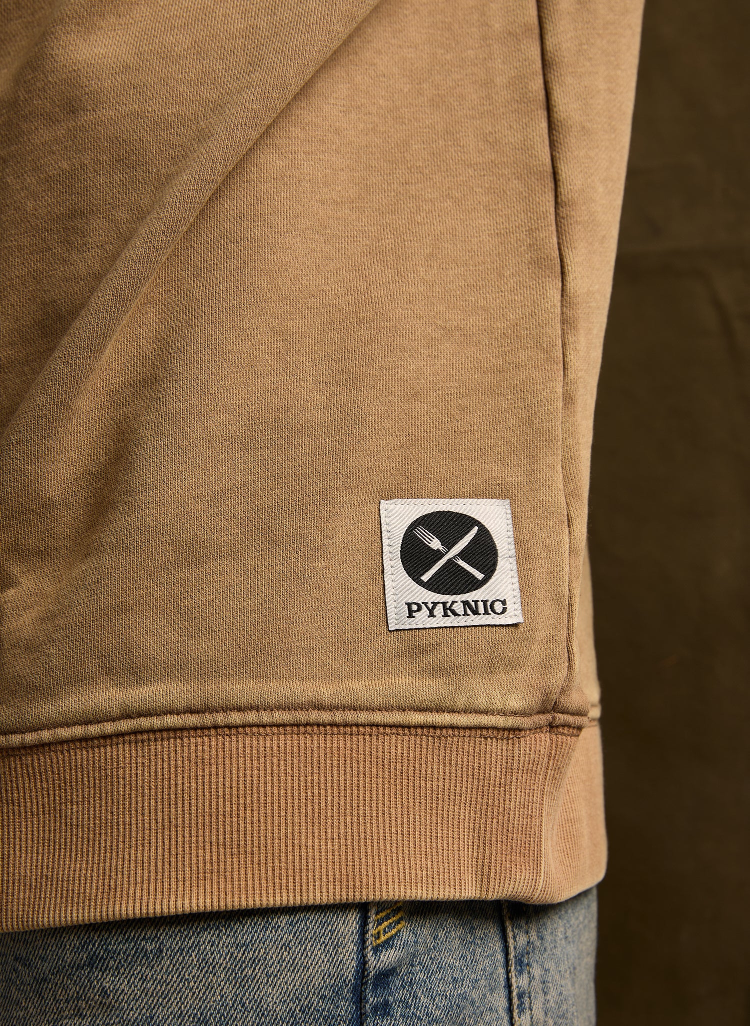 Pyknic